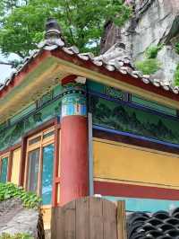 바다와 숲이 만나는 천년의 산책