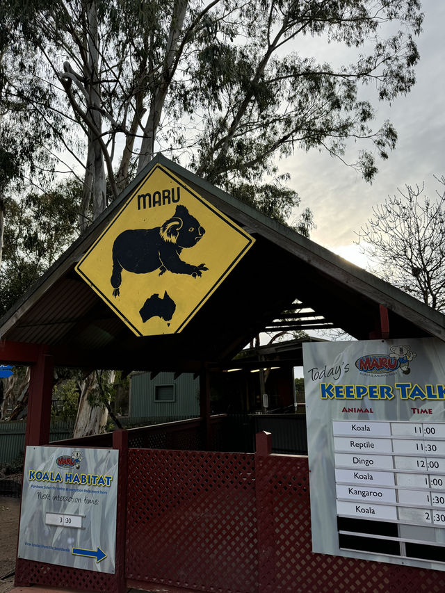 🐨 澳洲維多利亞州的一個受歡迎的私人家族經營動物園🦙🫏🦘🐕
