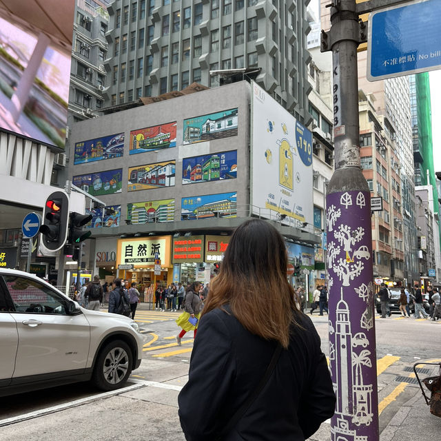 Hong Kong 8 Days Travel Guide 