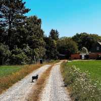 Denmark | Bornholm: Sunshine Makes Copenhagen a Distant Memory! ☀️🏖️