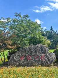 Century Park on a Budget: My Day Outdoors in Shanghai