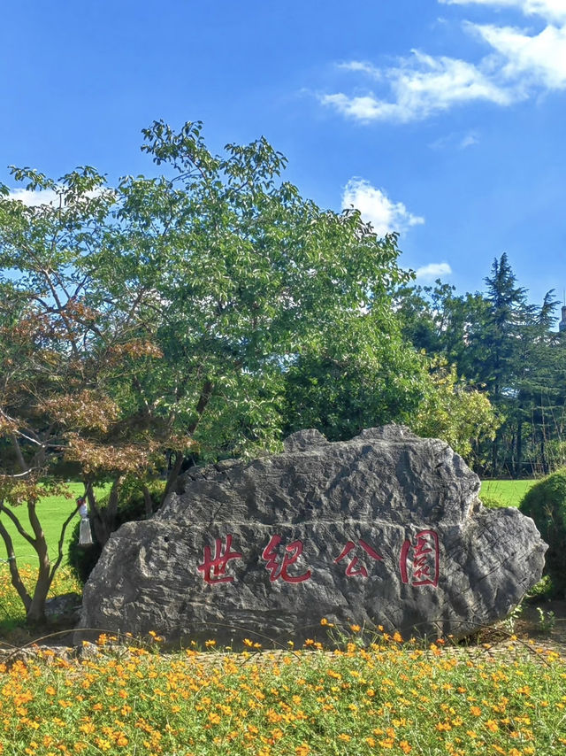 Century Park on a Budget: My Day Outdoors in Shanghai