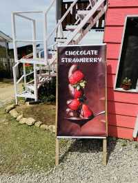 Strawberry Farm with a Whimsical Twist 