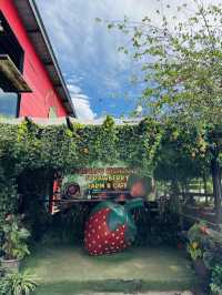Strawberry Farm with a Whimsical Twist 