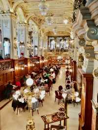 Golden Decadence at Noon: A Taste of Royalty in Budapest