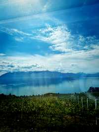Sipping Summer in Grandvaux 