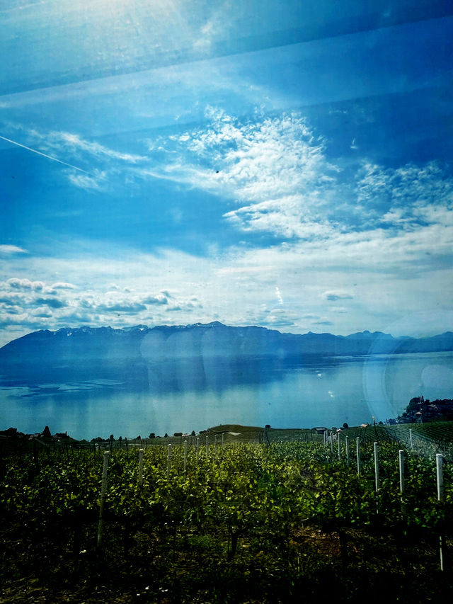 Sipping Summer in Grandvaux 
