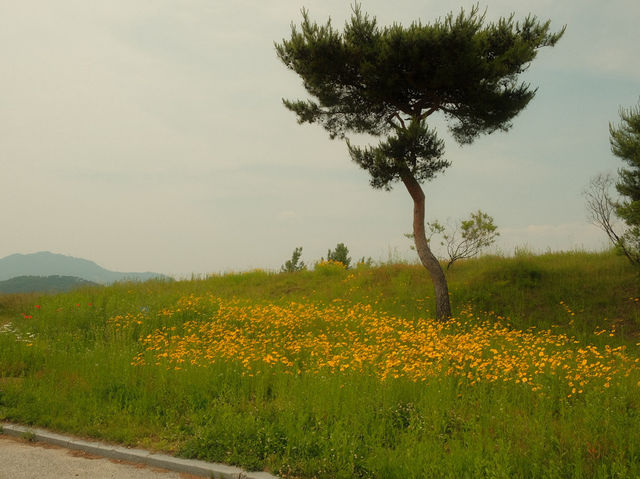 韓国地方旅