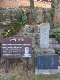 사계절 풍경을 담은 무진정 산책길