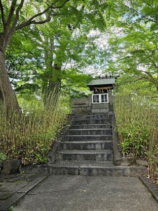 A serene stroll through the lush greenery of Kiyosu Castle Ruins Park