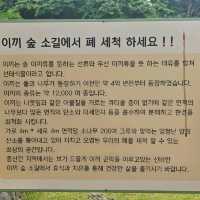 💘🫧제주시 애월 이끼숲소길 카페