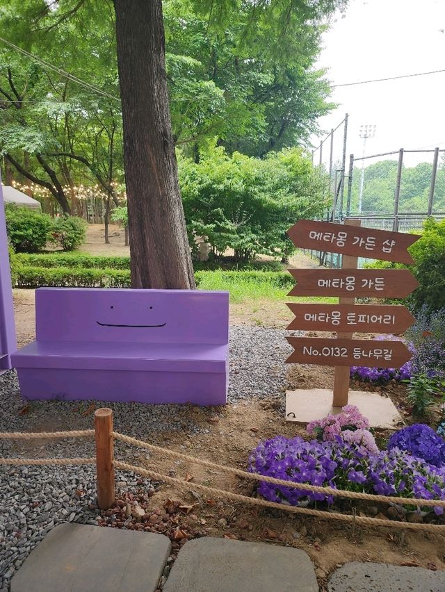 【ソウル🇰🇷】期間限定！メタモンガーデン🪻