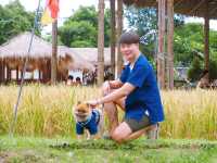 💚 ปักหมุดคาเฟ่และร้านอาหารย่านพระรามห้า