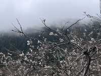 Spring’s First Breath in Huanglong Valley