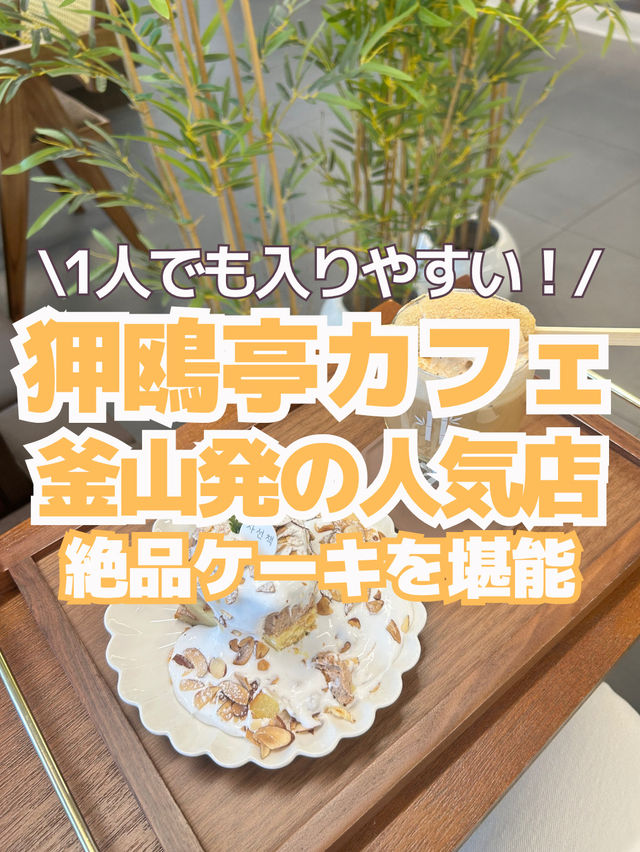 【狎鴎亭カフェ】釜山発の人気カフェで、絶品ケーキを堪能🍰✨