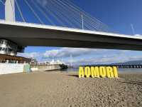 🌊 Hidden Coastal Charm – Aomori Ekimae Beach