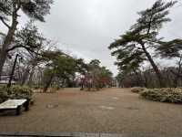 🌧️ Moody Skies Over Kubota Castle Ruins – A Quiet Slice of History