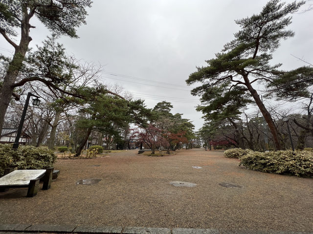 🌧️ Moody Skies Over Kubota Castle Ruins – A Quiet Slice of History