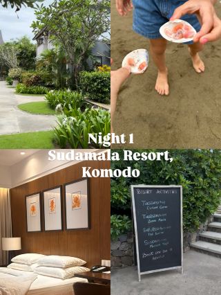 Labuan Bajo 7 Days Itinerary