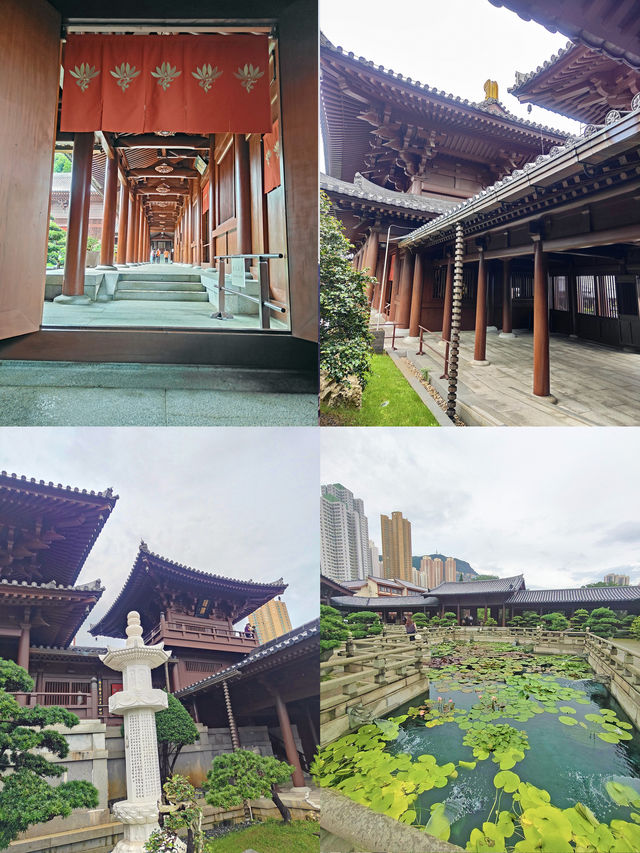 港都與世隔絕的蓮池淨土