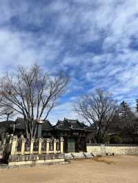 📍 밀양 당일치기 코스 추천 청춘 드라마 속 주인공이 된 듯한 하루