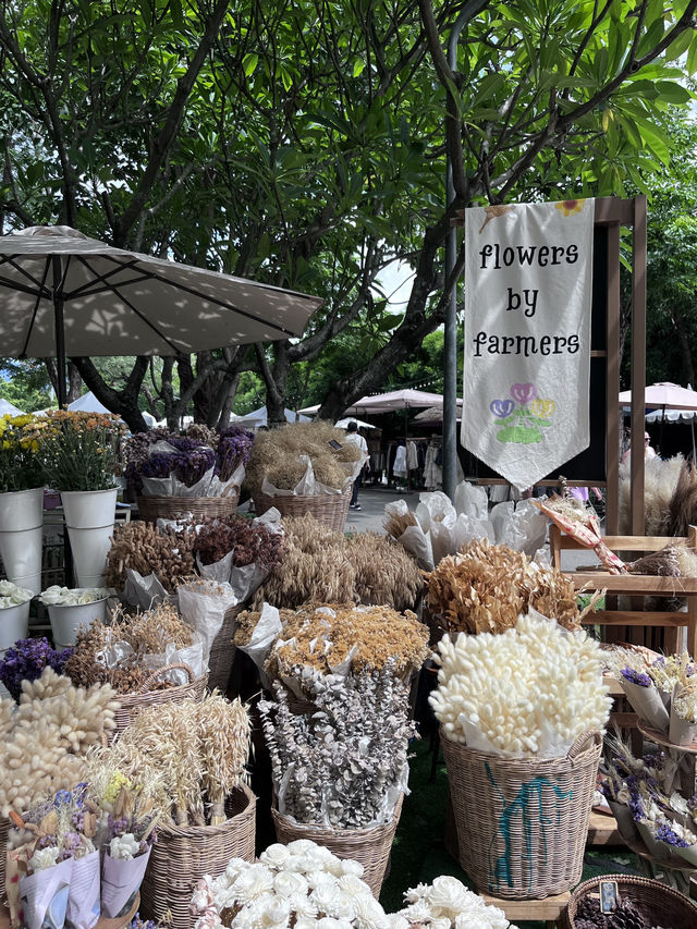 เที่ยวเชียงใหม่ 1 วัน ไปไหนดี