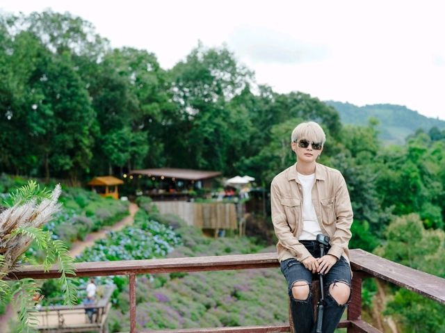 ยอดดอยม่อนแจ่ม Coffee