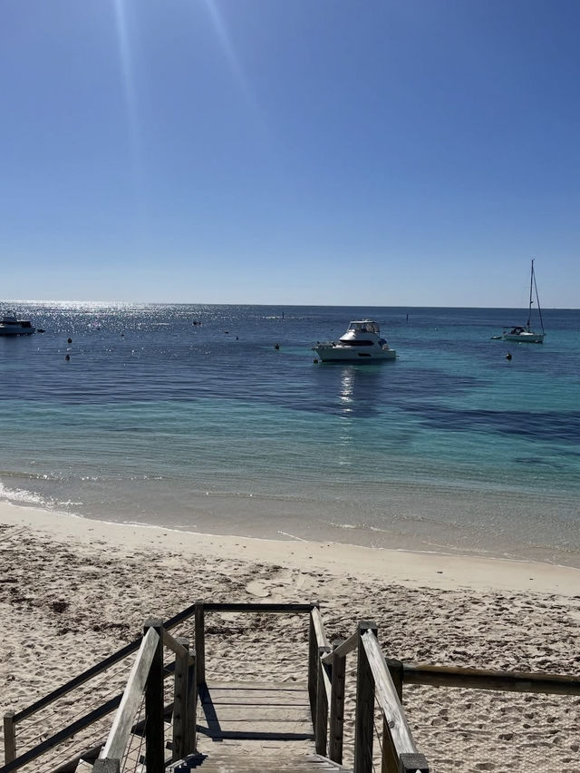 🌟【ロットネスト島（Rottnest Island）】ワールド最高の笑顔と大自然が待つ島 