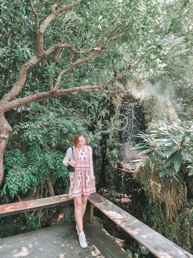 Stepping Into a Fairy Tale in Chiang Mai 🌳🧚‍♀️