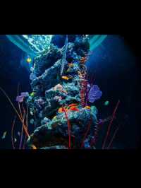 【átoa（アトア）】アート×水族館の新感覚体験！五感で楽しむ幻想空間🎨🐟