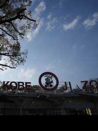 【神戸市立王子動物園】パンダもレトロ遊園地も！家族もカップルも楽しめる癒しスポット🐾🎡