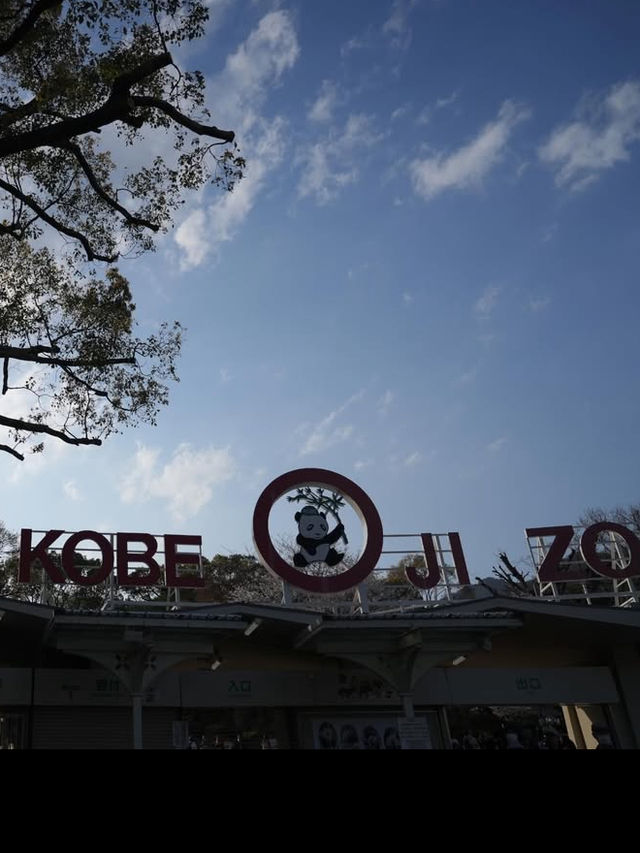 【神戸市立王子動物園】パンダもレトロ遊園地も！家族もカップルも楽しめる癒しスポット🐾🎡