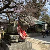 【ROKU KYOTO】ホテルステイを満喫する！