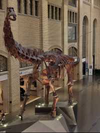 🏛️【知的好奇心が爆発！ロイヤル・オンタリオ博物館で世界を旅する】