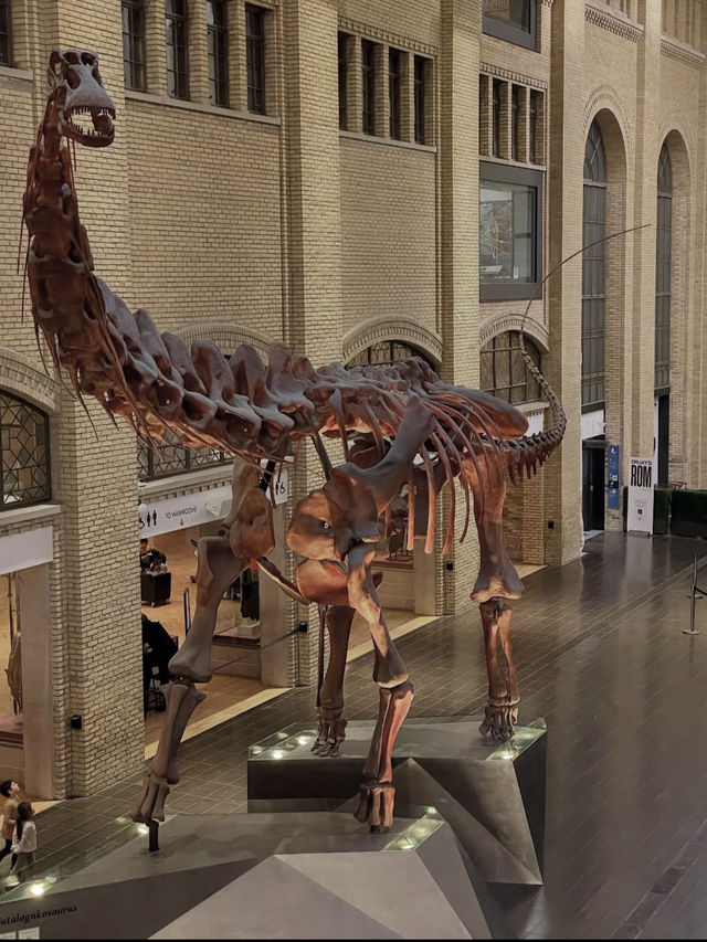 🏛️【知的好奇心が爆発！ロイヤル・オンタリオ博物館で世界を旅する】