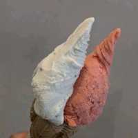 奈良 | Gelateria Fiore 義式冰淇淋網美店
