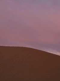 【サハラ砂漠🇲🇦】ラクダと砂漠と星空の旅🐪🌙