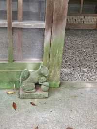 〔金澤稻荷神社〕 石浦神社旁的千本小鳥居 ⛩️