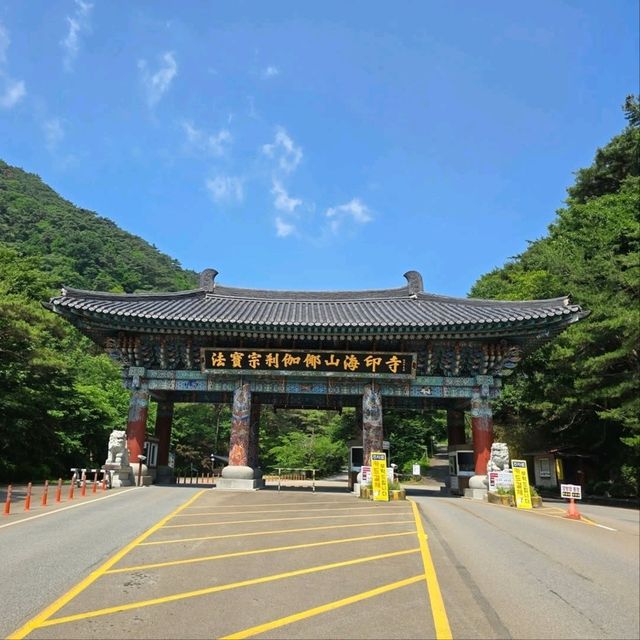 Temple Time & Zen Vibes, Haeinsa Hits Different
