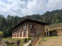 Clouds, Cranes & Walks at Phobjikha Valley Round 2