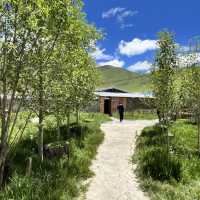 🐟 Litang Highland Fish Restaurant – A Cozy Pit Stop in the Sky