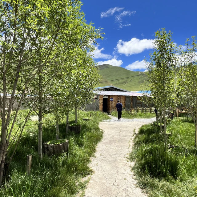 🐟 Litang Highland Fish Restaurant – A Cozy Pit Stop in the Sky