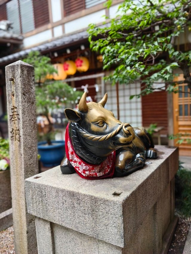 去京都摸下發達牛