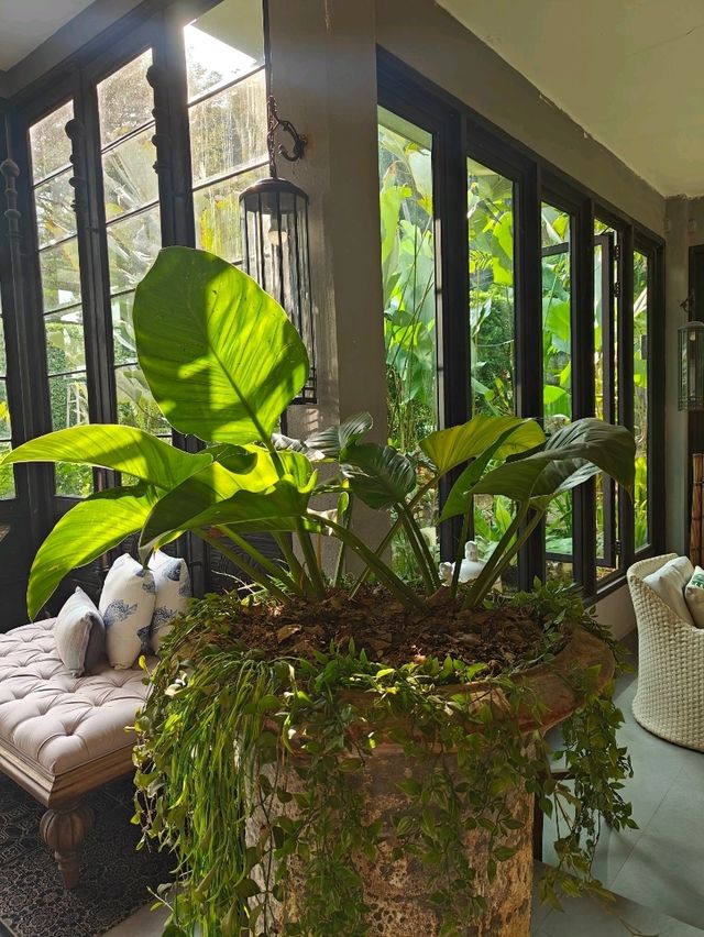 The Hidden Resort & Restaurant รีสอร์ทลับในป่า