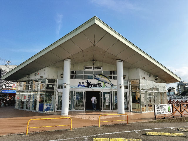 Numazu Port: Catching the Fish Market After Hours! 🐟☀️