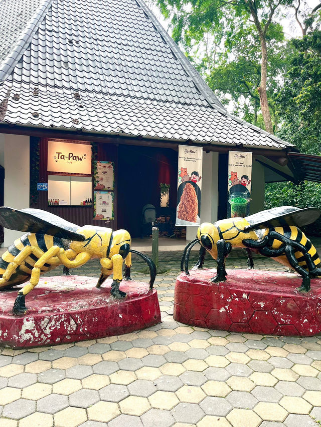 Muzium Lebah Sedunia: A Sweet Spot for Bee Lovers