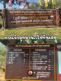 พาเที่ยวชมธรรมชาติ ที่ภูหัวฮ่อม จังหวัดเลย