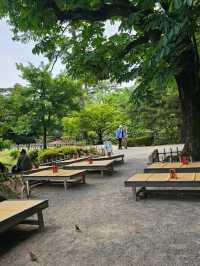 金澤｜池畔日式時光，兼六園內橋亭