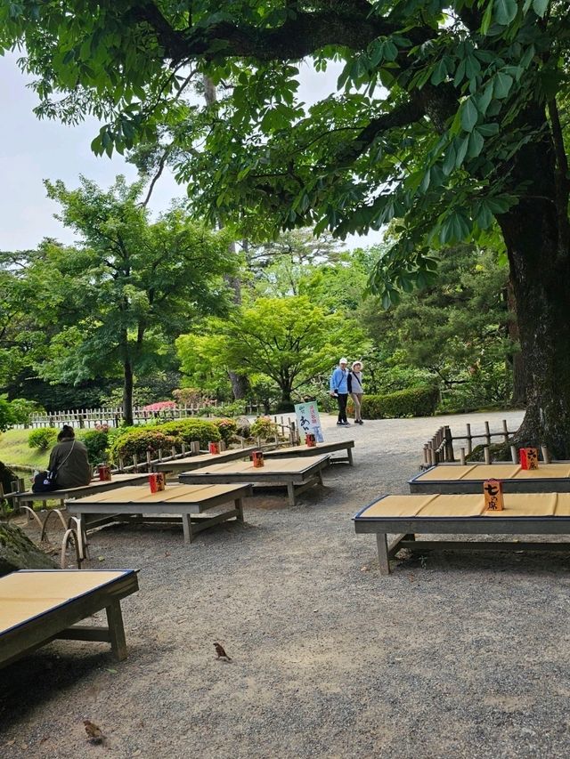 金澤｜池畔日式時光，兼六園內橋亭