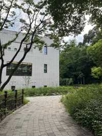 도서관과 숲속 공원